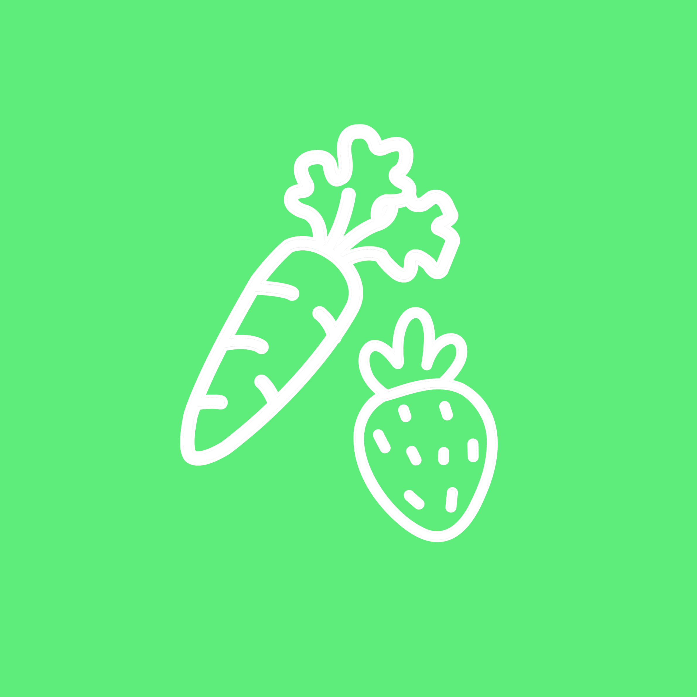 Vegetables & Fruits